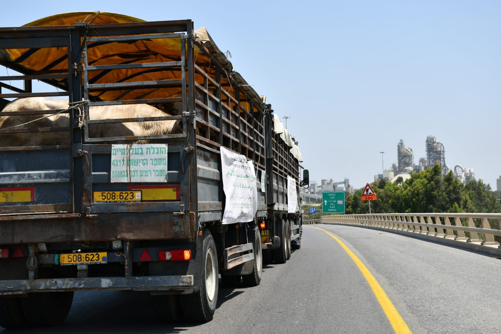 WhatsApp Image 2021-07-19 at 1.00.41 PM.jpeg